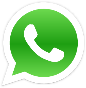 Marketing SEO Whatsapp